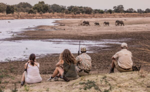 People Watching the Elephants on Safari in South Luangwa National Park | Luxury Zambia Holidays | The Ultimate Travel Company