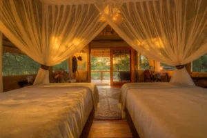 Dinaka, Central Kalahari Game Reserve