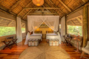 Dinaka, Central Kalahari Game Reserve