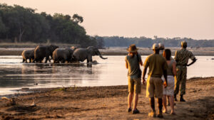 Tafika Camp, South Luangwa National Park