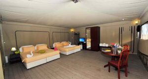 RAS AL JINZ, ARABIAN PENINSULA | The Ultimate Travel Company