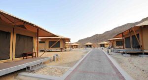 RAS AL JINZ, ARABIAN PENINSULA | The Ultimate Travel Company