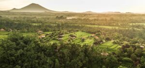Como Uma Ubud Hotel, Bali | Ultimate Travel Company