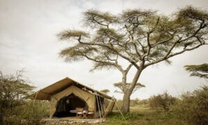Serengeti Safari Camp, Tanzania | The Ultimate Travel Company