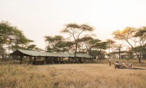 Serengeti Safari Camp, Tanzania | The Ultimate Travel Company