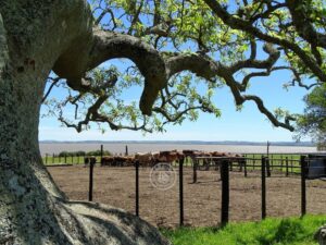 Estancia Guardia del Monte | Uruguay | Ultimate Travel Company