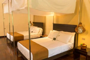 Tambopata Research Centre, Southern Amazon