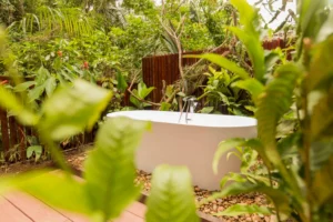 Tambopata Research Centre, Southern Amazon