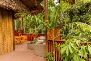 Tambopata Research Centre, Southern Amazon