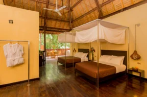 Tambopata Research Centre, Southern Amazon