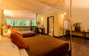 Tambopata Research Centre, Southern Amazon