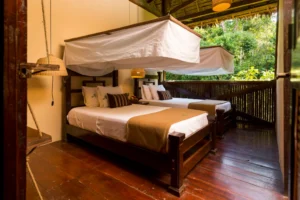 Tambopata Research Centre, Southern Amazon