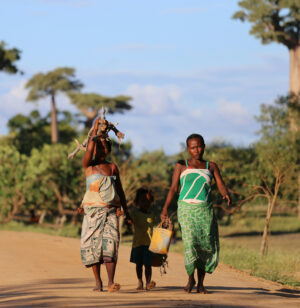 The Ultimate Travel Company | Responsibility | Madagascar