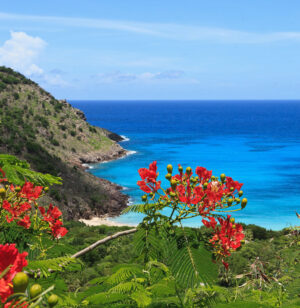 The Ultimate Travel Company | St Barths