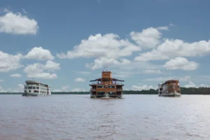 Delfin Amazon Cruises, Northern Amazon
