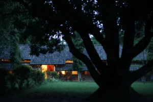 Tiger Tops Tharu Lodge, Chitwan National Park | The Ultimate Travel Company