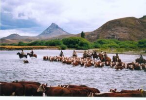 Estancia Tipiliuke, Northern Lake District | The Ultimate Travel Company