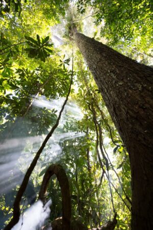 Mashaquipe Ecolodge | Bolivia | Ultimate Travel Company