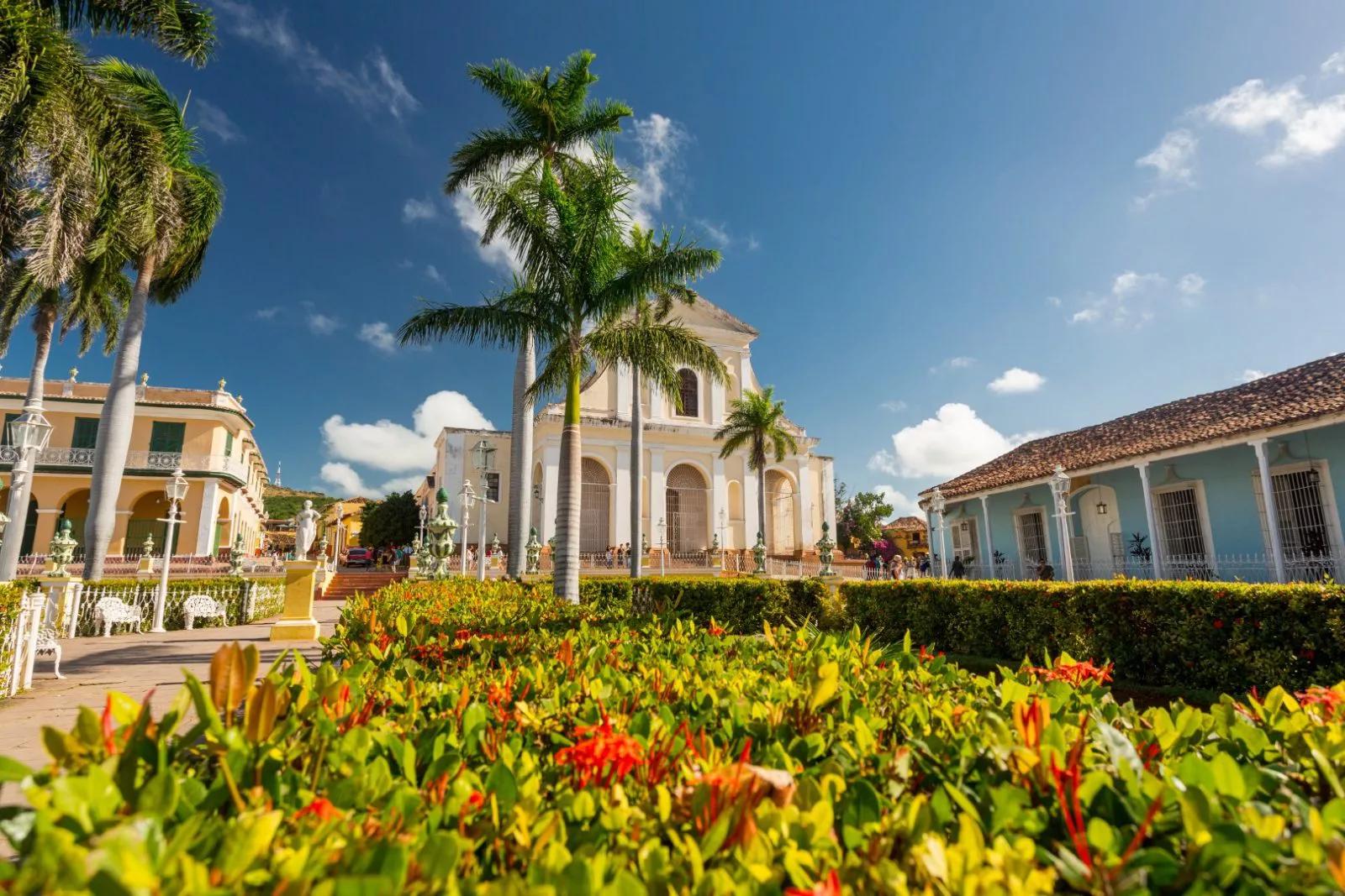 Finca Kenia, Trinidad