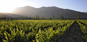 Casa Real Hotel | Luxury Hotel | Ultimate Travel Company