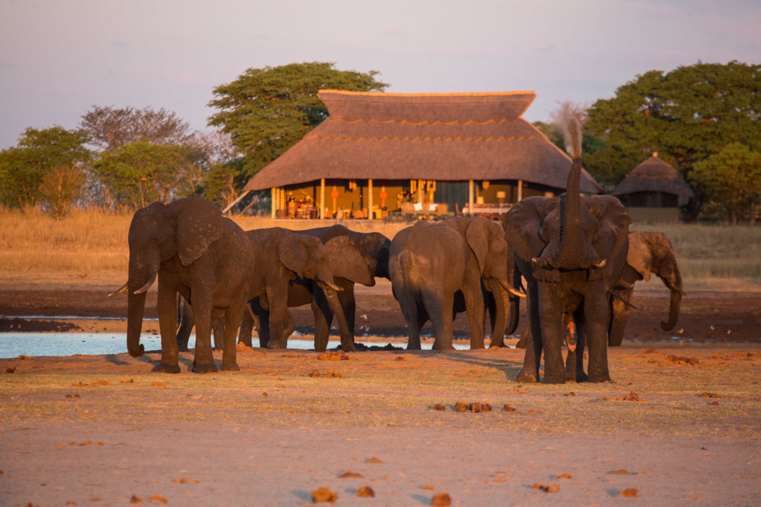 Camp Hwange, Hwange National Park