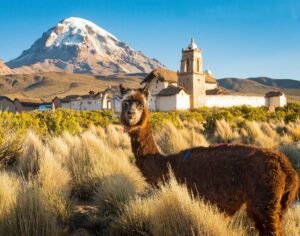 Sajama National Park and Natural Integrated Management Area | Bolivia | The Ultimate Travel Company