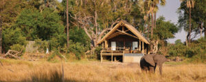 Eagle Island Lodge, a Belmond Safari, Botswana