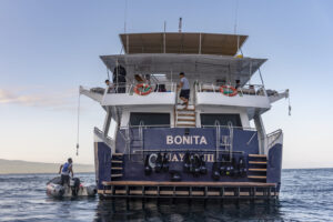 Bonita, Galapagos Islands, Ecuador | The Ultimate Travel Company