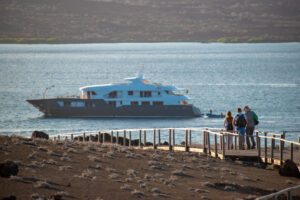 Infinity, Galapagos Islands | The Ultimate Travel Company