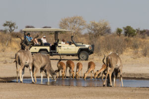 Dinaka, Central Kalahari Game Reserve