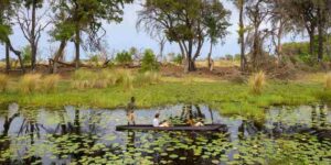 People on Safari in a Dugout Canoe at the Duba Explorers Camp, Okavango Delta | Luxury Botswana Safaris | The Ultimate Travel Company
