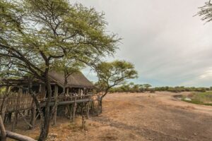 Safarihoek Lodge, Etosha Heights Private Reserve