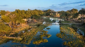 Duba Explorers Camp, Okavango Delta