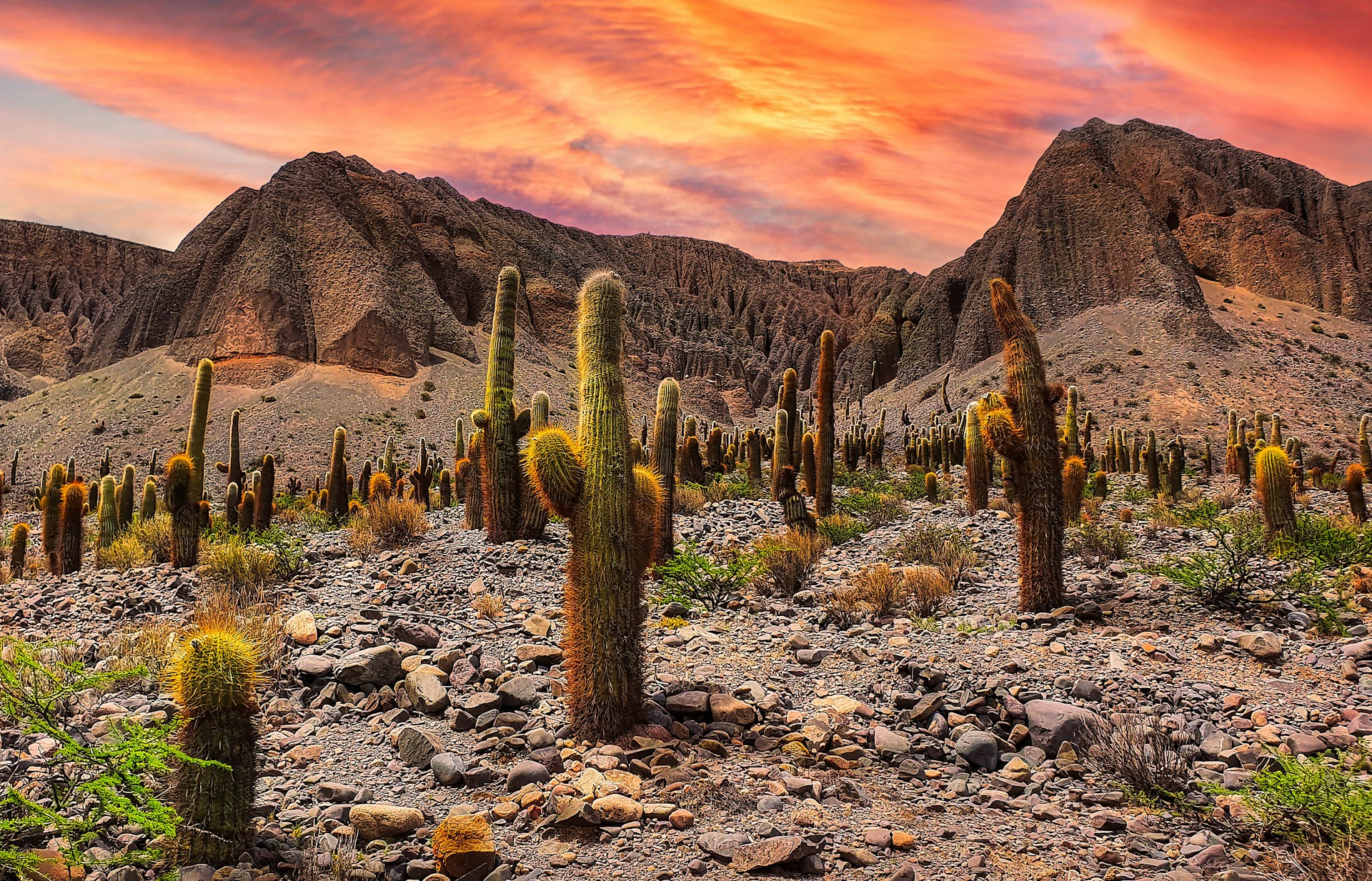 Northwest Argentina | The Ultimate Travel Co