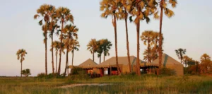 Jack’s Camp and San Camp, Kalahari
