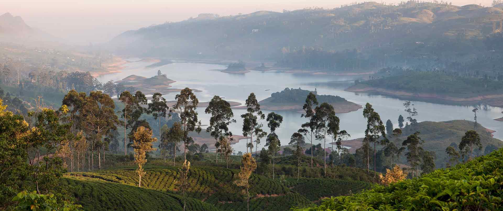 Ceylon Tea Trails | Castlereagh Reservoir | Ultimate Travel Company