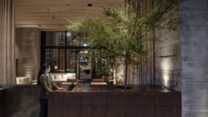 The Hotel Britomart, Auckland