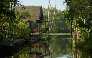 Sacha Lodge, Amazon | The Ultimate Travel Company