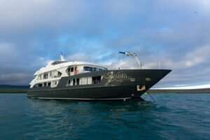 Infinity, Galapagos Islands | The Ultimate Travel Company