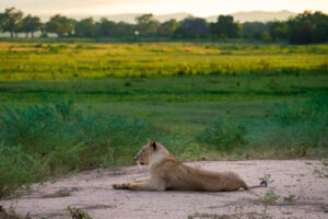 John’s Camp, Mana Pools National Park
