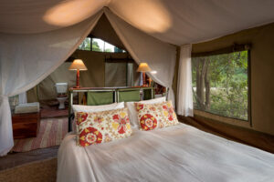 John’s Camp, Mana Pools National Park