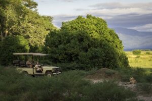 John’s Camp, Mana Pools National Park