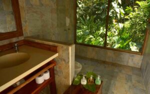 Sacha Lodge, Amazon | The Ultimate Travel Company