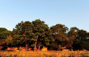 Luwi Bush Camp, South Luangwa National Park | Luxury Bush Camp | Ultimate Travel Company