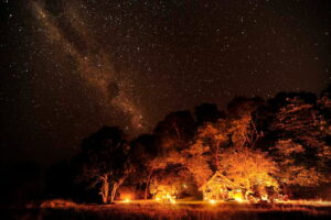 Luwi Bush Camp, South Luangwa National Park | Luxury Bush Camp | Ultimate Travel Company