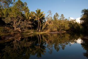 Mountain Pine Ridge | Luxury Belize Holidays | The Ultimate Travel Company