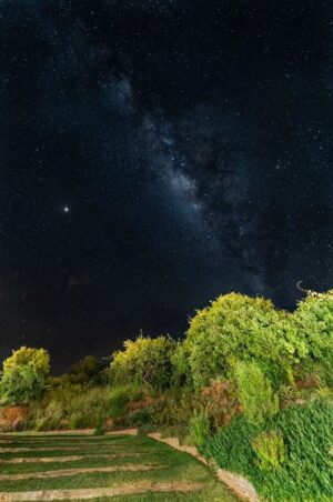 Lolldaiga House, Laikipia | Sky at night | The Ultimate Travel Company