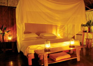 Inkaterra Reserva Amazonica | Luxury Hotel | Ultimate Travel Company
