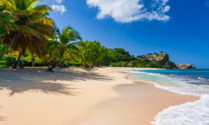 Grenada | Tropical beach with palm trees and clear blue water | The Ultimate Travel Company