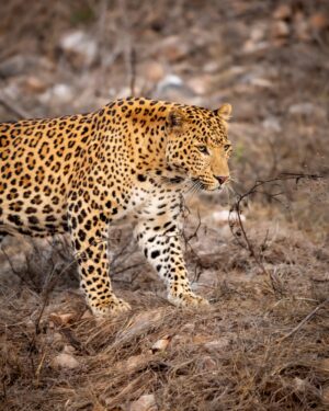 Satpura National Park | India | The Ultimate Travel Company